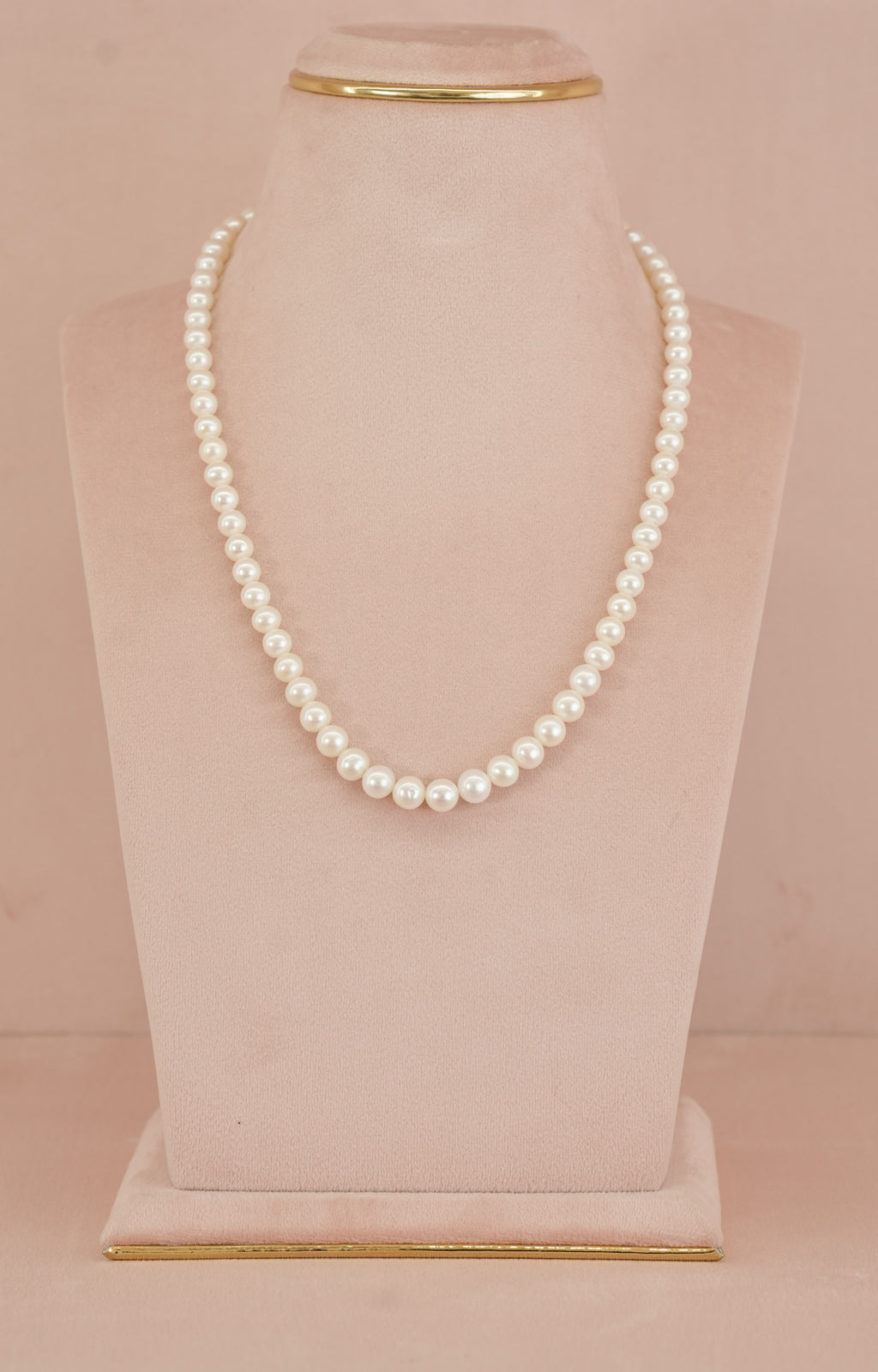 Ivory Classic