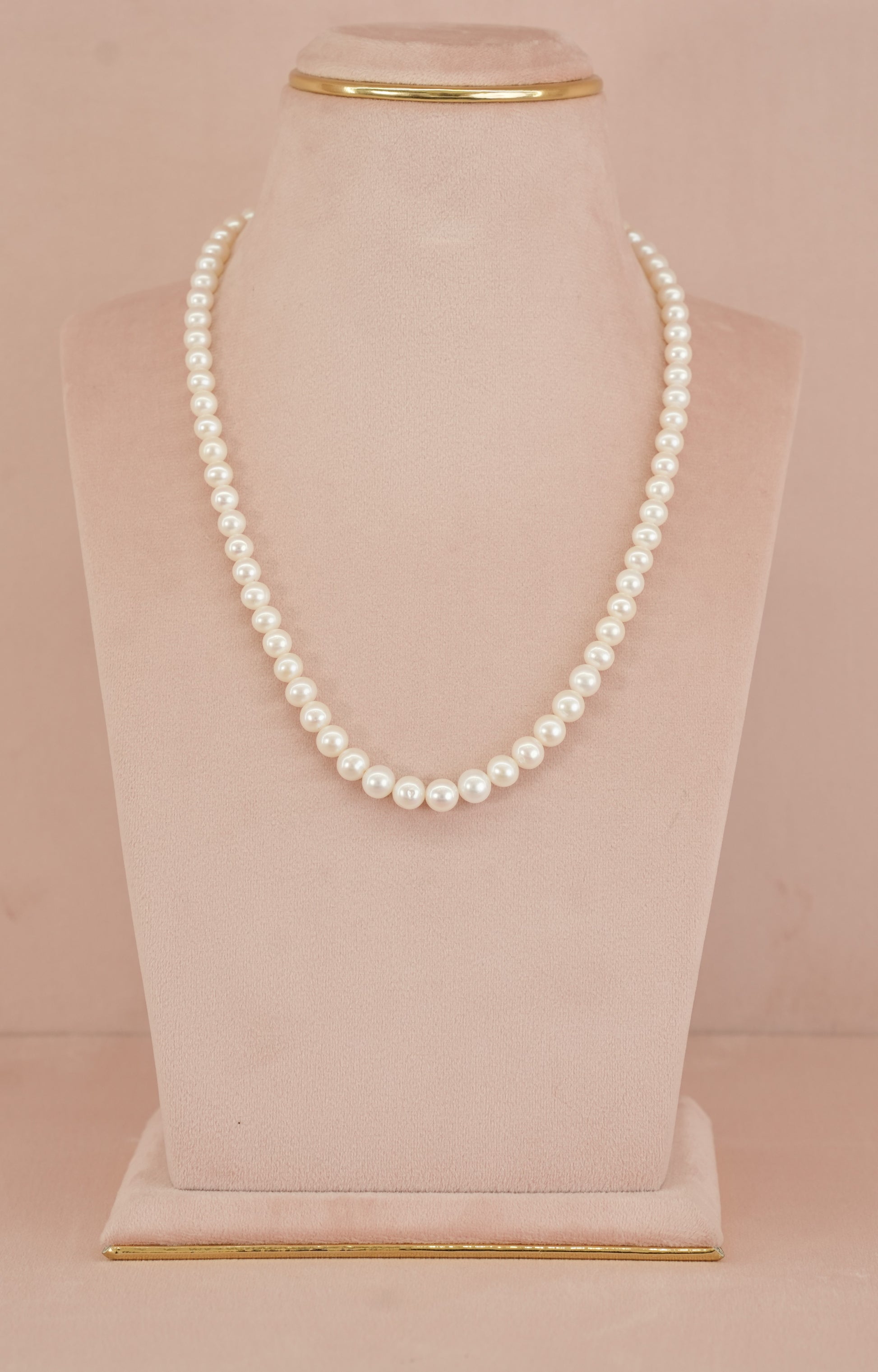 Ivory Classic