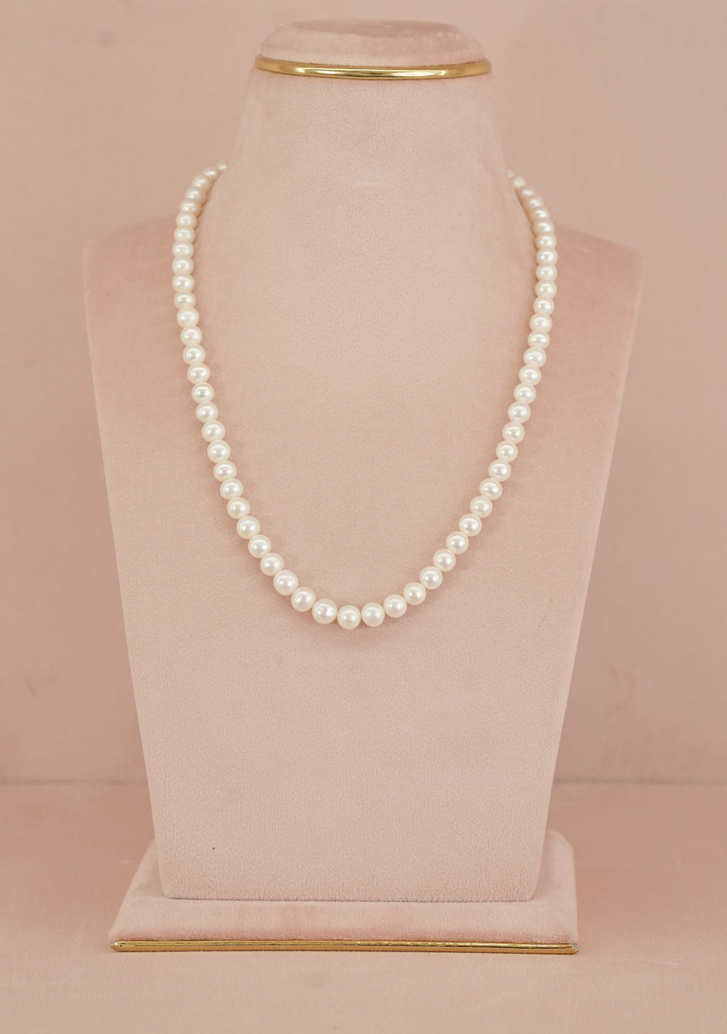 Ivory Classic