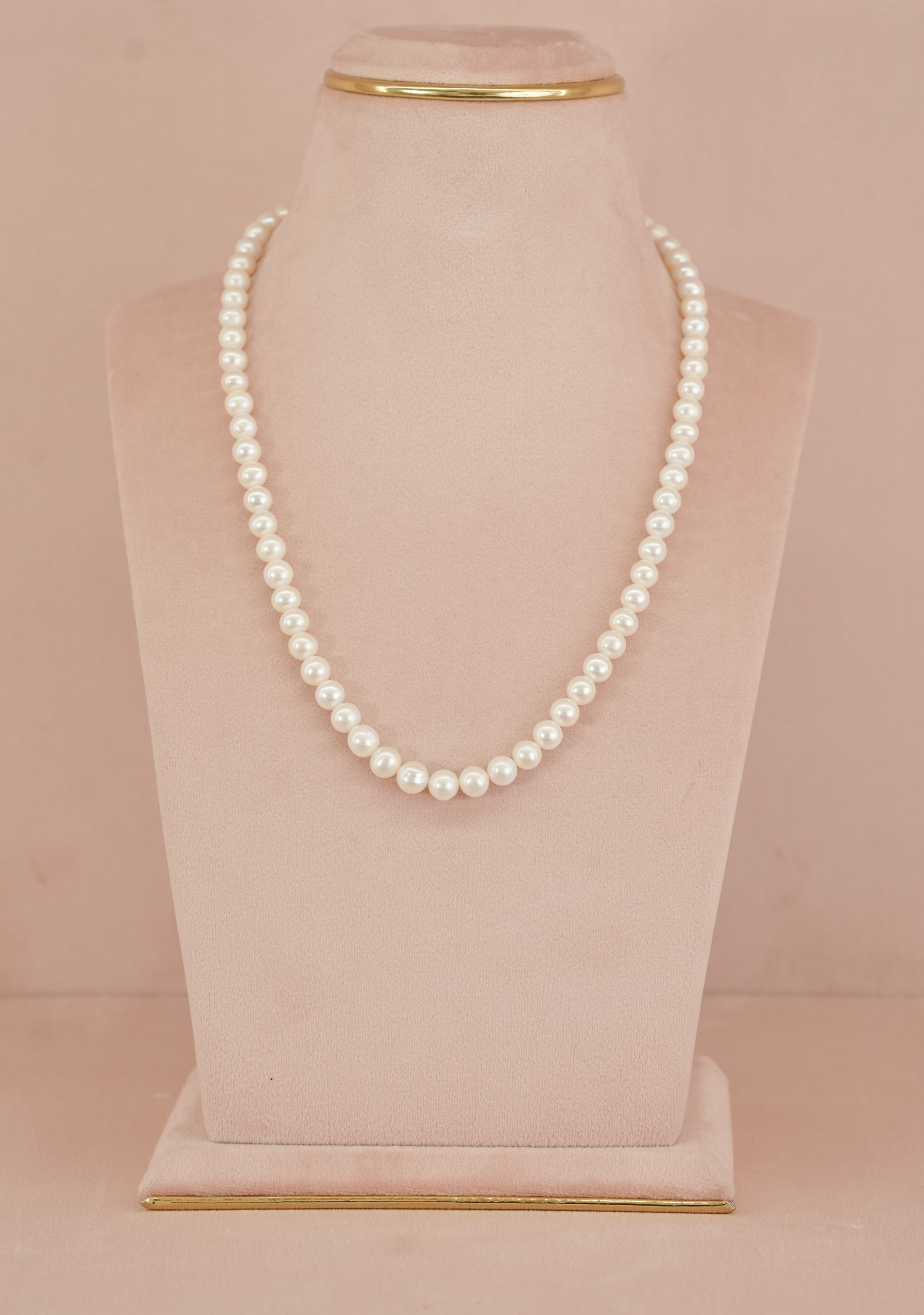 Ivory Classic